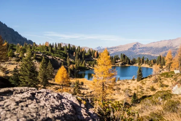 Lago di montagna circondato da alberi in autunno e montagne sullo sfondo.